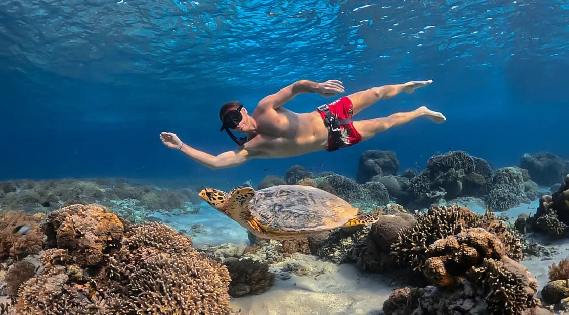 Diving & Snorkelling